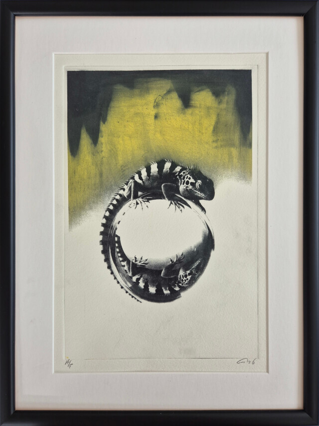 Lagarto 1