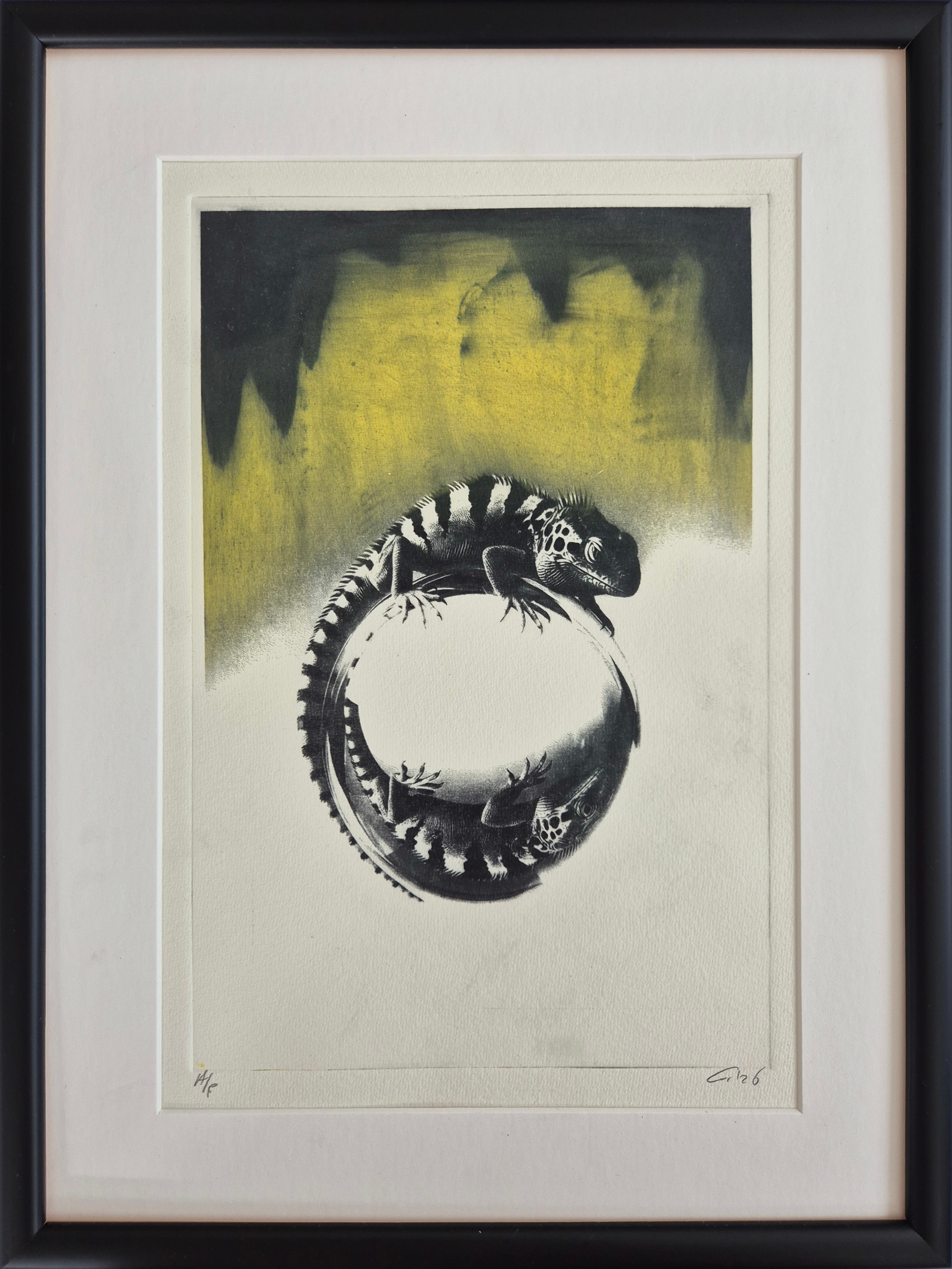 Lagarto 1