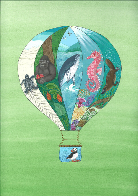 Luchtballon