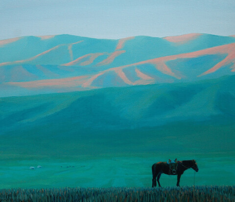 Mongools landschap