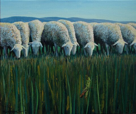 Schapen met sprinkhaan
